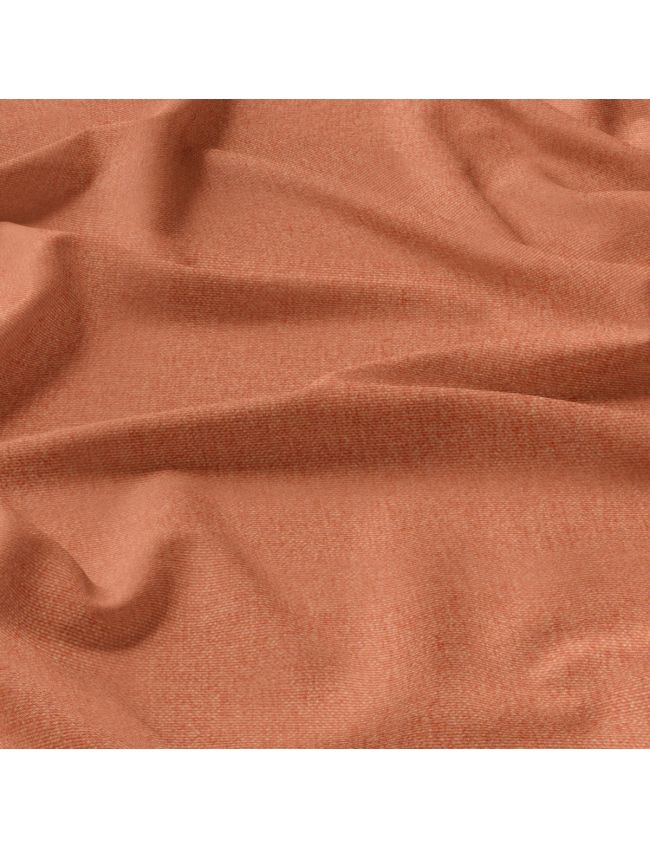 Goldfish orange Belize Roman 