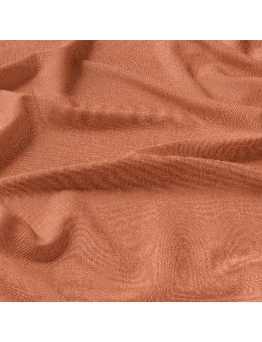 Goldfish orange Belize Roman 