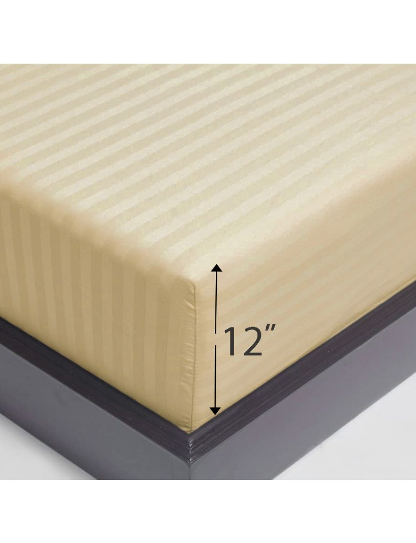 Classic - Beige Strip