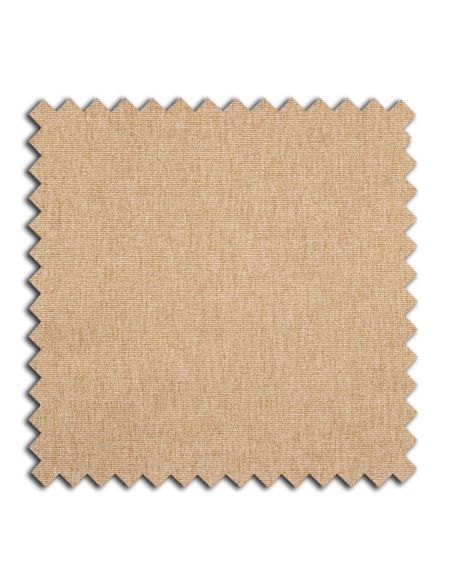 Orizaba Silkmoth Linz Roman