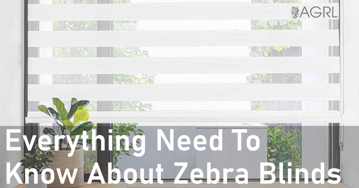 Everything Need To Know About Zebra Blinds